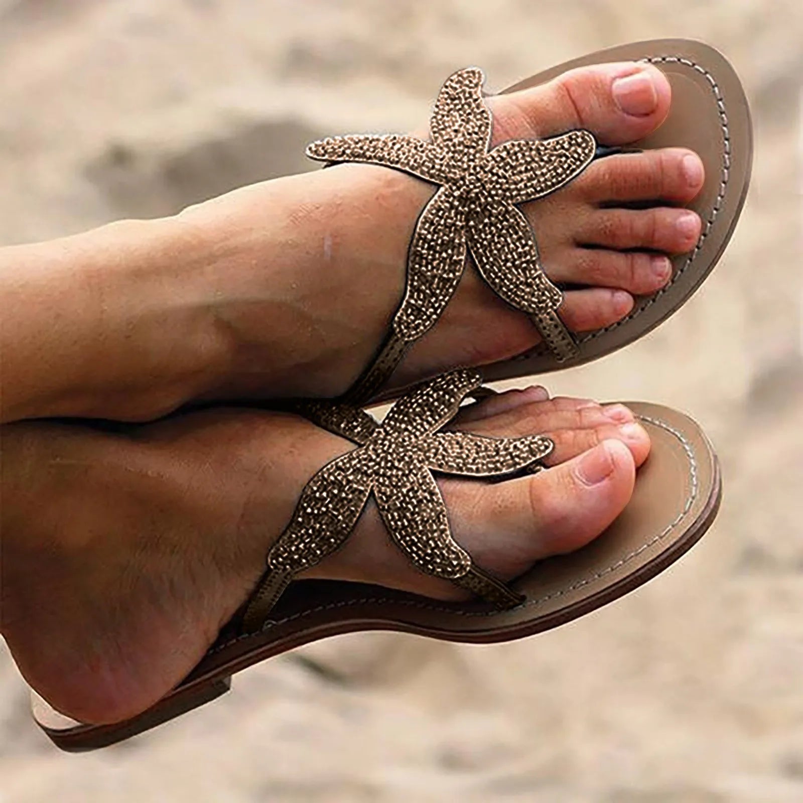 Sea Star Slides